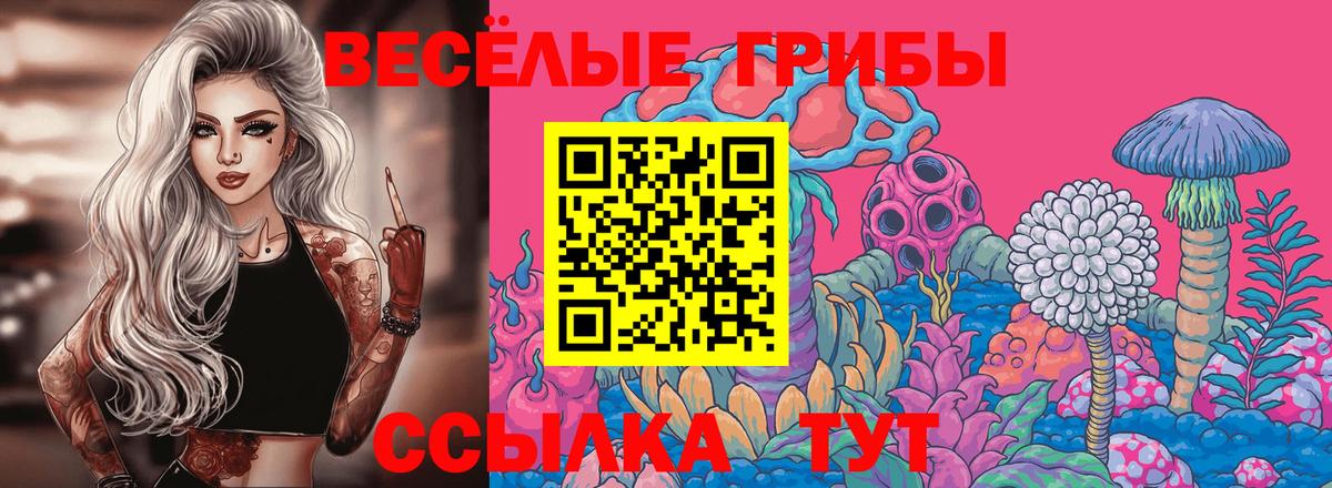 Псилоцибиновые грибы Psilocybe Тулун